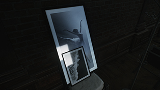 Ballet Lover
