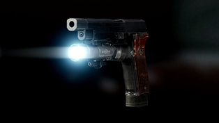 Оружейник. P226R