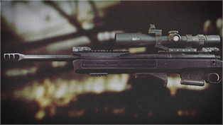 Hunting trip